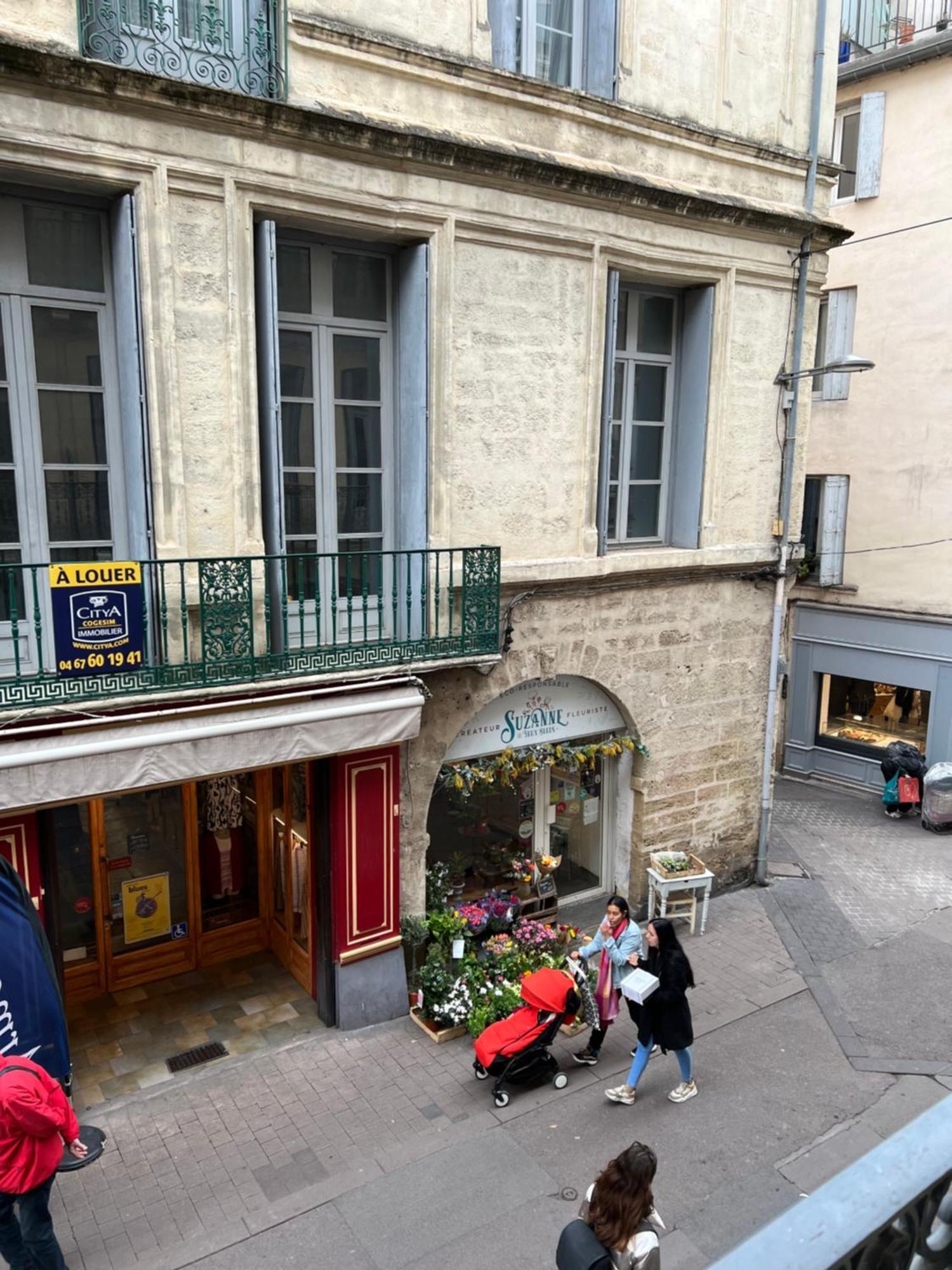 Centre Historique Rue Saint Guilhem Lejlighed Montpellier Eksteriør billede